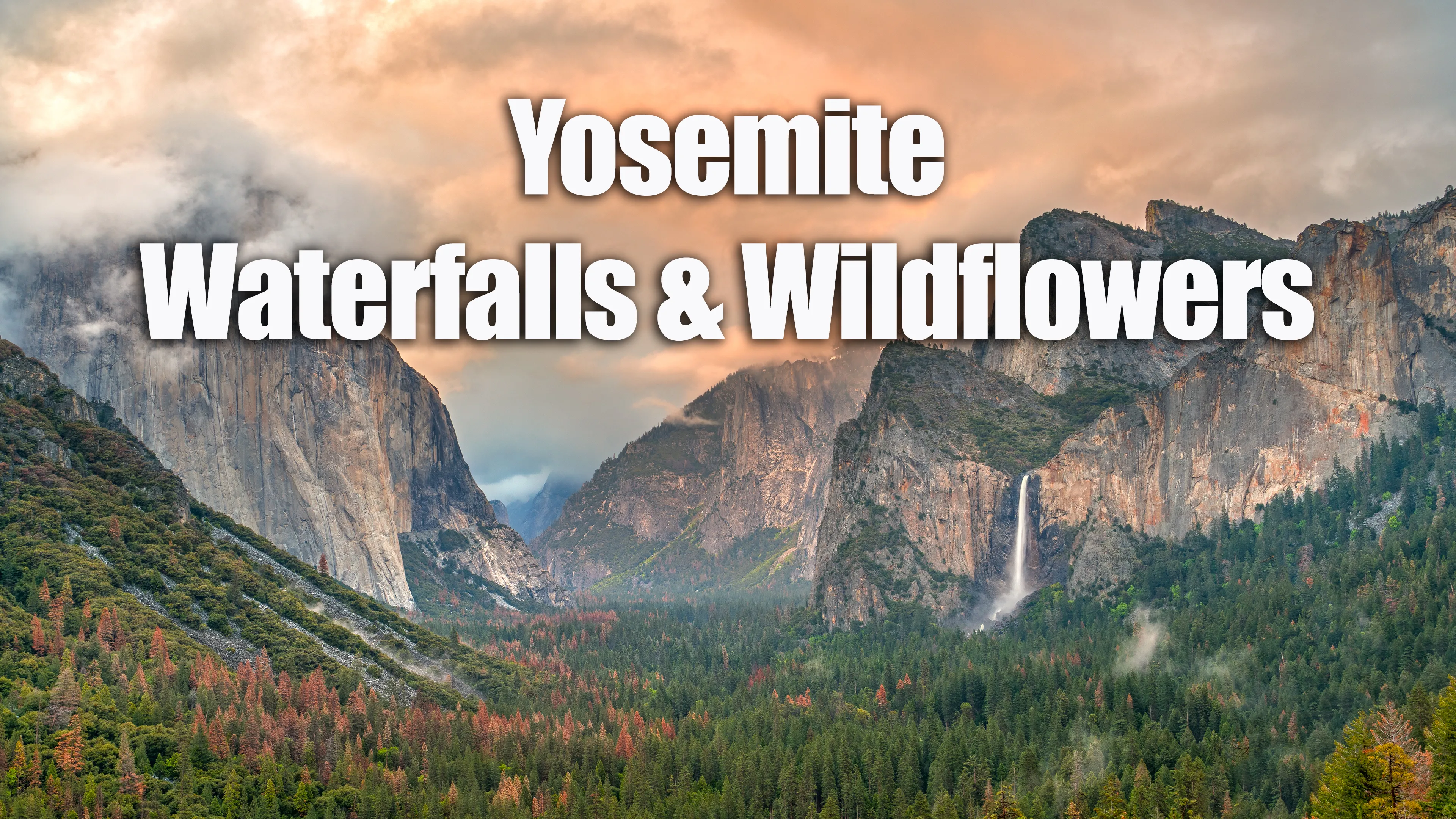 Yosemite Waterfalls and Wildflowers poster